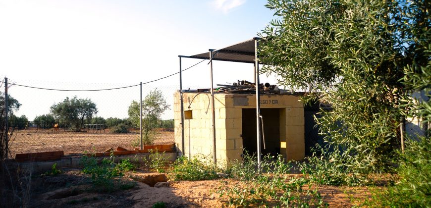 Chalet independiente en Pilas