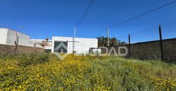 Naves en amplio terreno con buen acceso