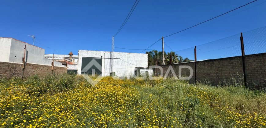 Naves en amplio terreno con buen acceso