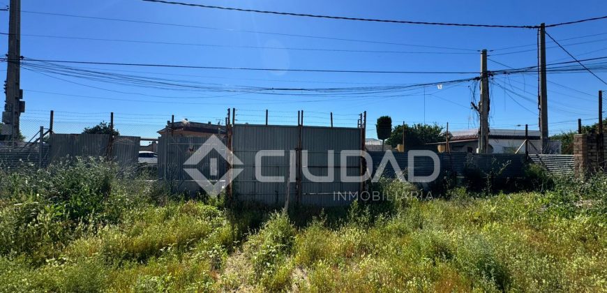 Naves en amplio terreno con buen acceso