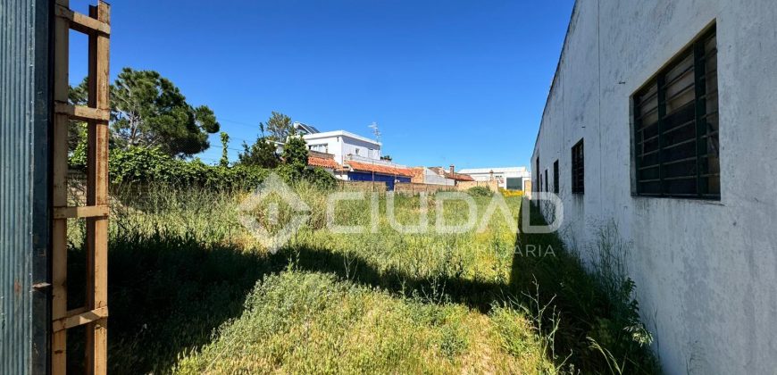 Naves en amplio terreno con buen acceso