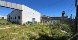 Naves en amplio terreno con buen acceso