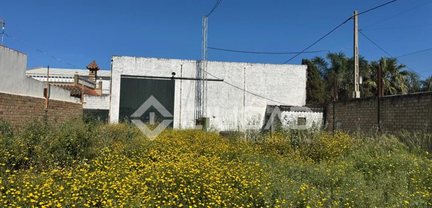 Naves en amplio terreno con buen acceso