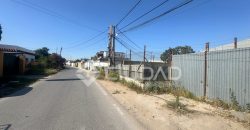 Naves en amplio terreno con buen acceso