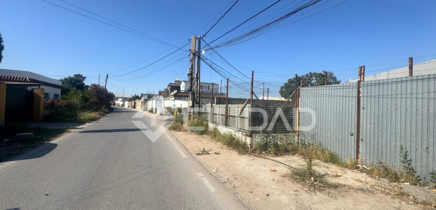 Naves en amplio terreno con buen acceso