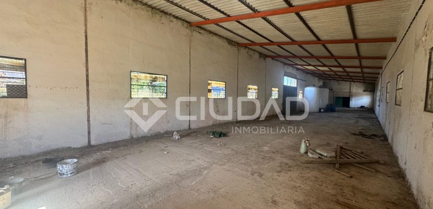 Naves en amplio terreno con buen acceso