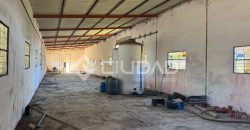 Naves en amplio terreno con buen acceso