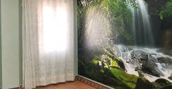Chalet independiente en Pilas