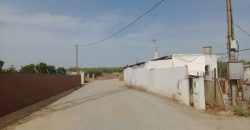 Terreno agrario – Bollullos de la Mitación