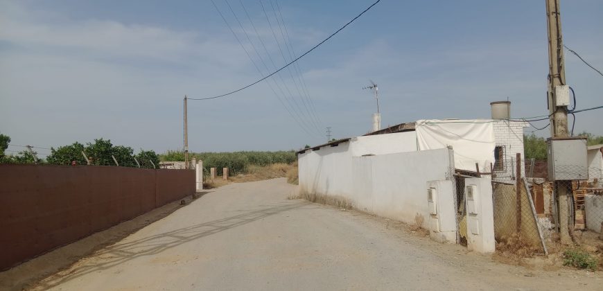 Terreno agrario – Bollullos de la Mitación