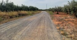 Terreno agrario – Bollullos de la Mitación