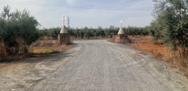 Terreno agrario – Bollullos de la Mitación