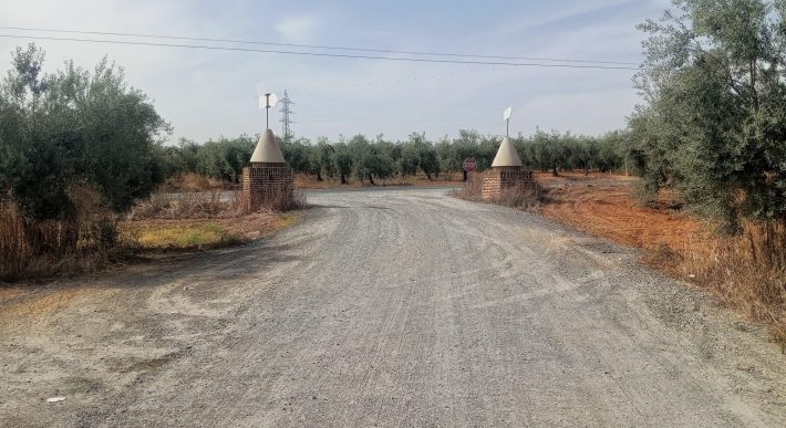 Terreno agrario – Bollullos de la Mitación