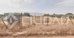 Finca rústica en venta en El Cuervo – Zona El Buhadillo