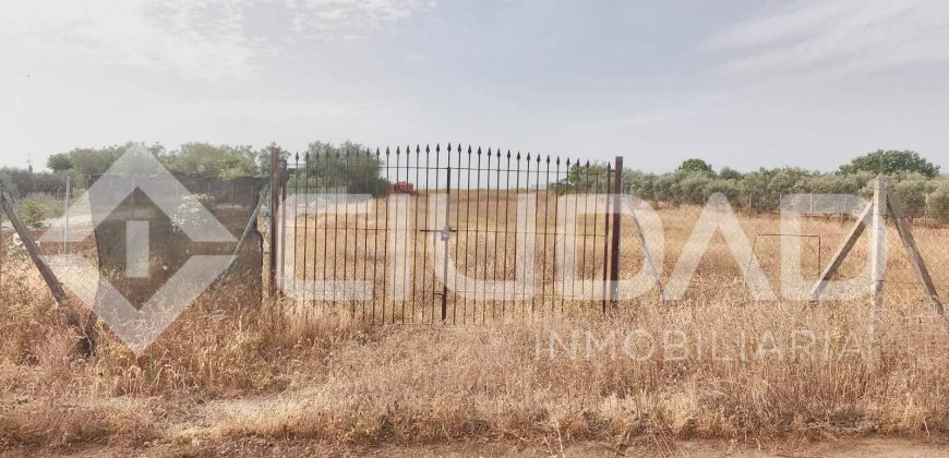Finca rústica en venta en El Cuervo – Zona El Buhadillo