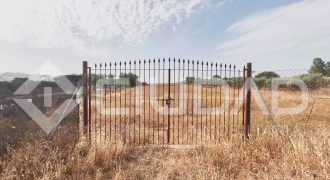 Finca rústica en venta en El Cuervo – Zona El Buhadillo