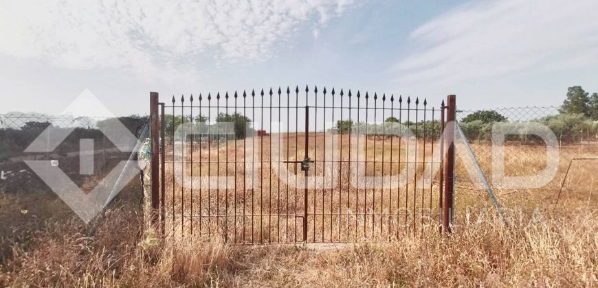 Finca rústica en venta en El Cuervo – Zona El Buhadillo