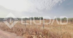 Finca rústica en venta en El Cuervo – Zona El Buhadillo
