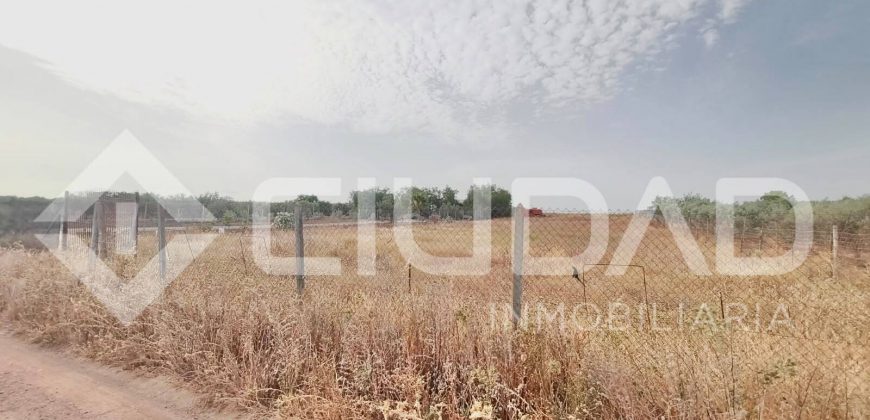 Finca rústica en venta en El Cuervo – Zona El Buhadillo