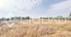 Finca rústica en venta en El Cuervo – Zona El Buhadillo