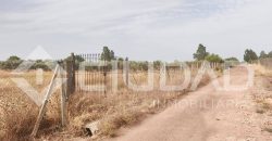 Finca rústica en venta en El Cuervo – Zona El Buhadillo
