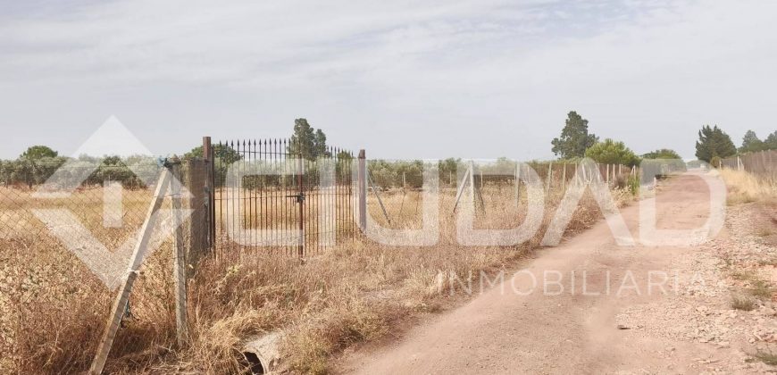 Finca rústica en venta en El Cuervo – Zona El Buhadillo