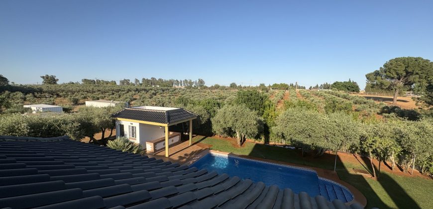 CHALET INDEPENDIENTE CON LICENCIA DE VIVIENDA TURÍSTICA DE ALOJAMIENTO RURAL EN MAIRENA DEL ALCOR