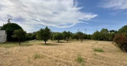 CAMPO EN URB. 10 MANDAMIENTOS