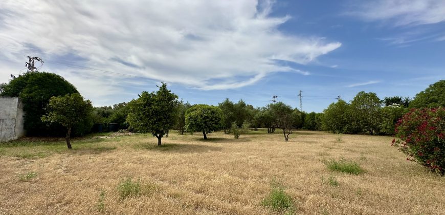 CAMPO EN URB. 10 MANDAMIENTOS