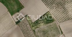 Finca rústica en venta en la zona de Mangalarga