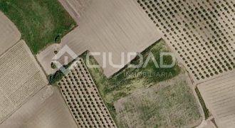 Finca rústica en venta en la zona de Mangalarga