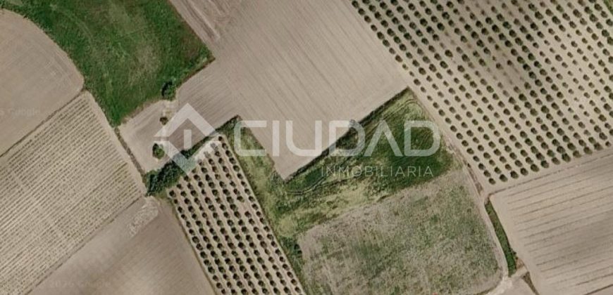 Finca rústica en venta en la zona de Mangalarga