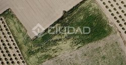 Finca rústica en venta en la zona de Mangalarga
