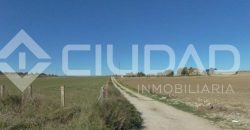 Finca rústica en venta en la zona de Mangalarga