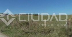 Finca rústica en venta en la zona de Mangalarga