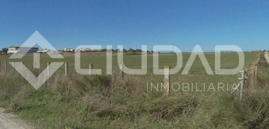 Finca rústica en venta en la zona de Mangalarga