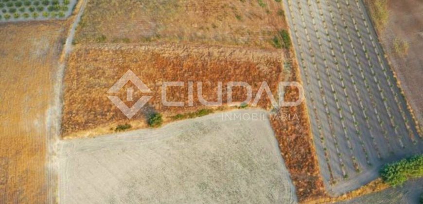 Finca rústica en venta en la zona de Mangalarga
