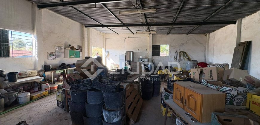 Terreno rústico con construcción e invernaderos