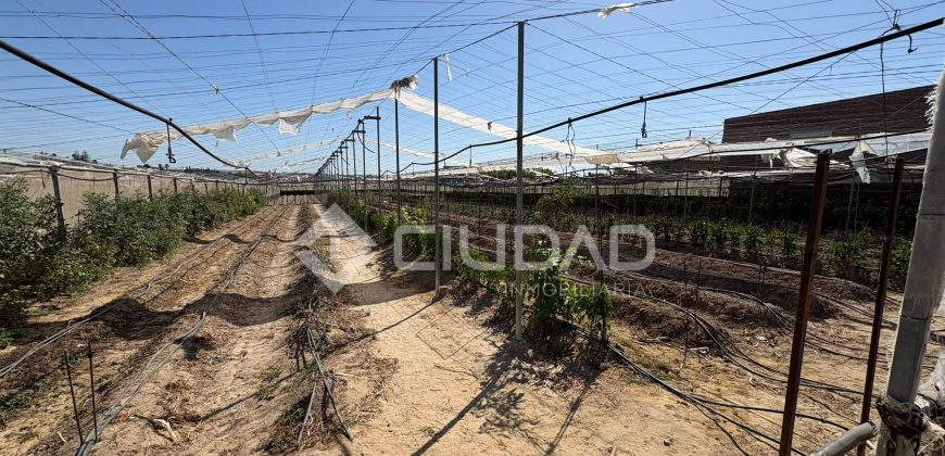 Terreno rústico con construcción e invernaderos