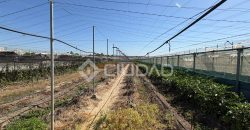 Terreno rústico con construcción e invernaderos