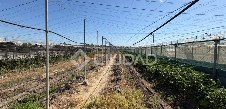Terreno rústico con construcción e invernaderos