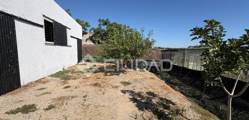 Terreno rústico con construcción e invernaderos