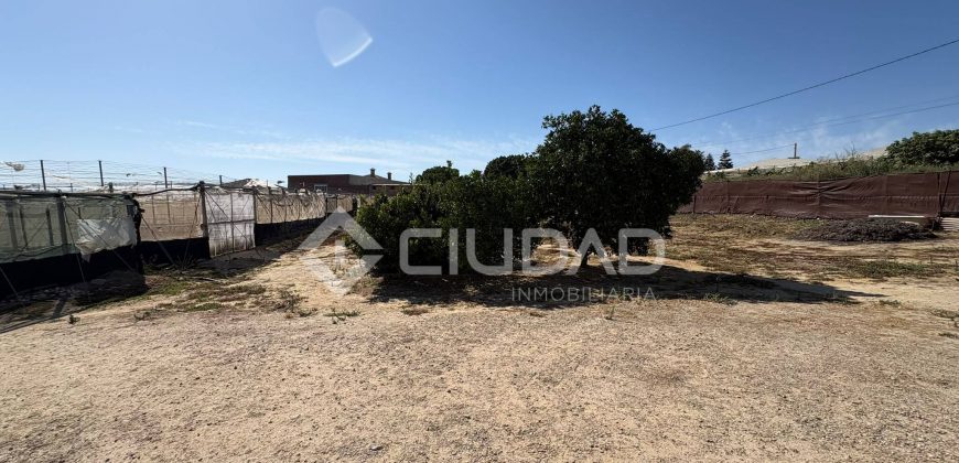 Terreno rústico con construcción e invernaderos