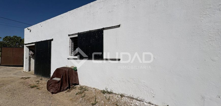 Terreno rústico con construcción e invernaderos