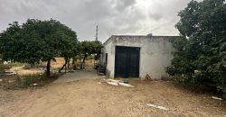 PARCELA RÚSTICA