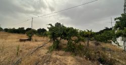 PARCELA RÚSTICA