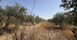 Terreno rústico agrario – Espartinas
