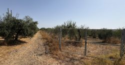 Terreno rústico agrario – Espartinas