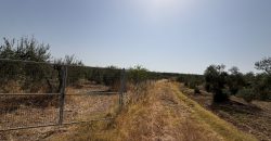 Terreno rústico agrario – Espartinas