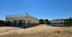 GRAN CAMPO EN EL ALCORNOCAL